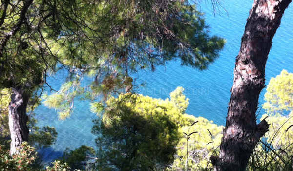 Θέα - View 